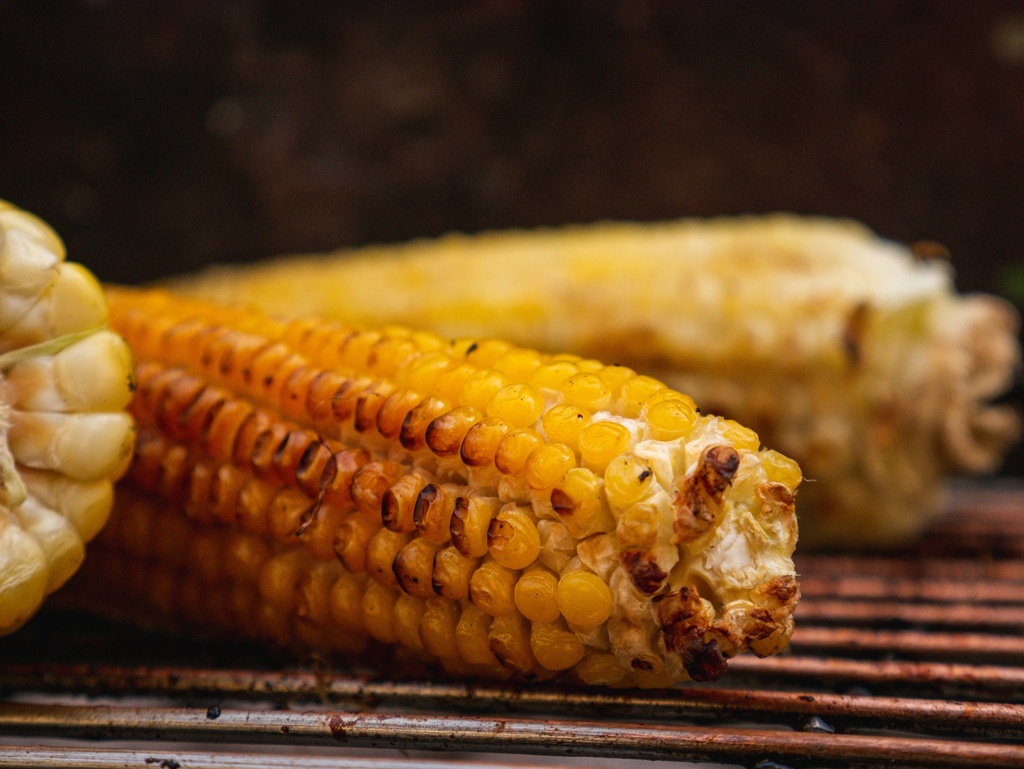 Sugar Corn | Miso