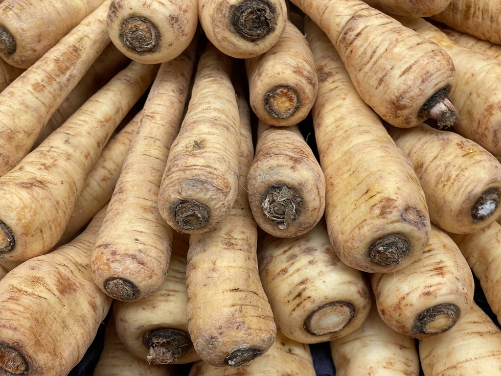 Parsnip - Linseed