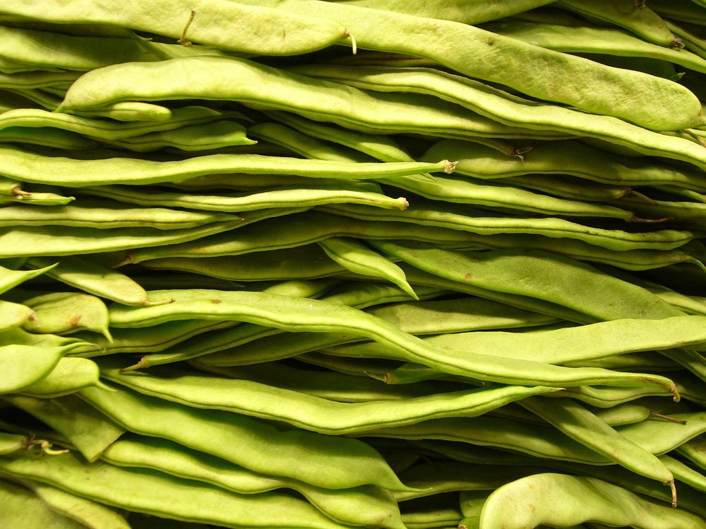 Grüne Bohnensuppe