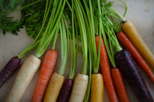 Rustic colorful Carrots