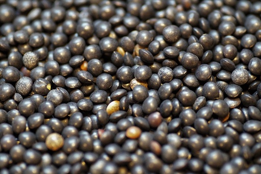 Creamy Root Vegetables with Beluga Lentils