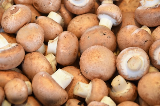 Porcini mushroom sauce